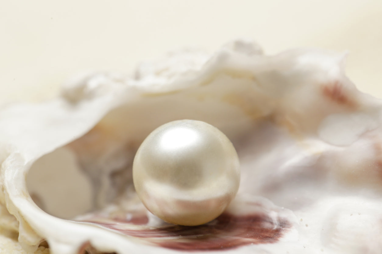 Close up image of organic pearl in a shell